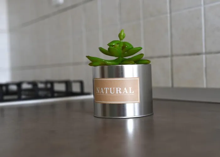 Vinika Apartamento