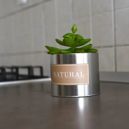 Vinika Apartamento